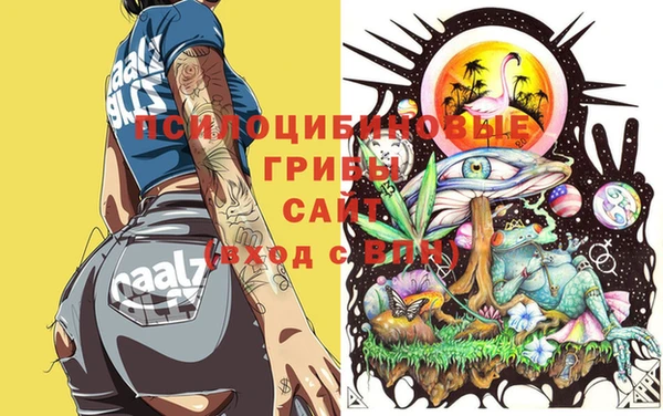 метадон Козловка